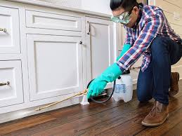 Best Pest Prevention Services  in Newport East, RI